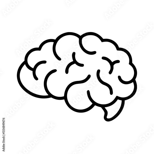 brain