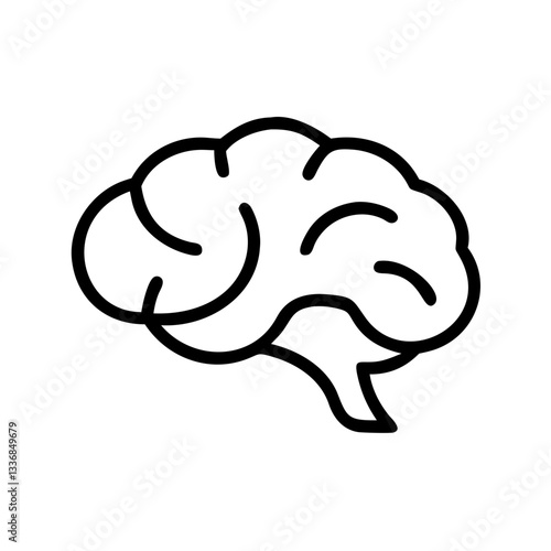 brain