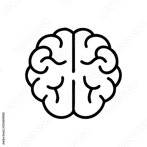 brain