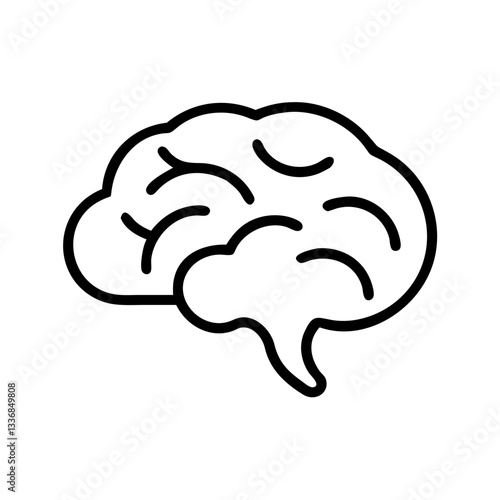brain