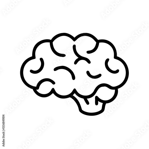 brain