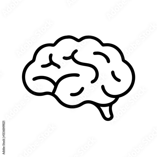 brain