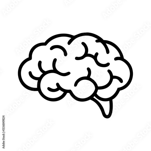 brain