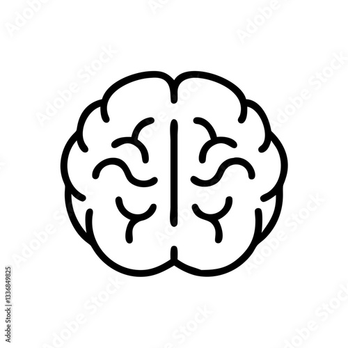 brain