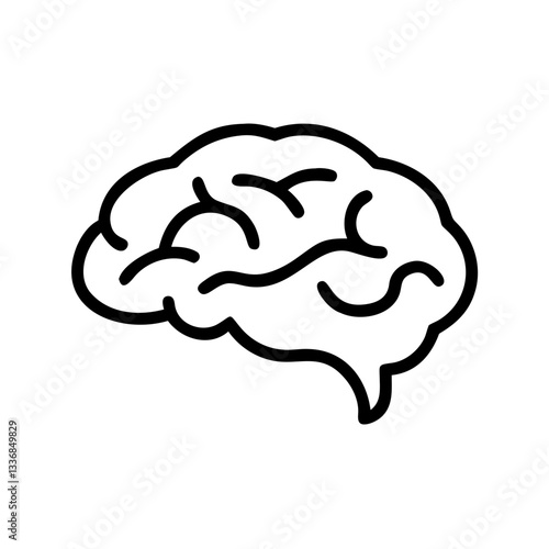 brain