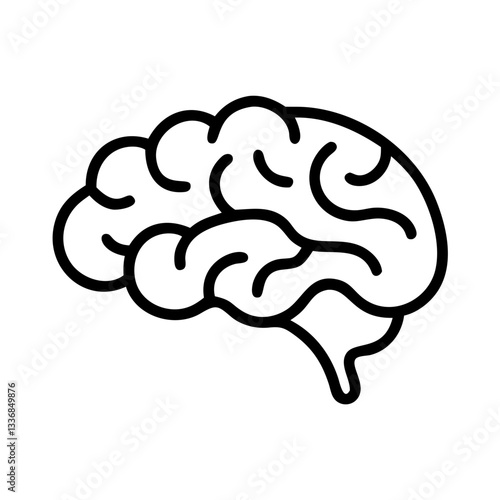 brain