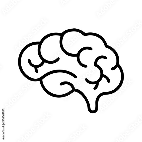 brain
