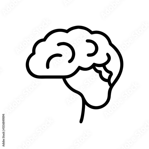 brain