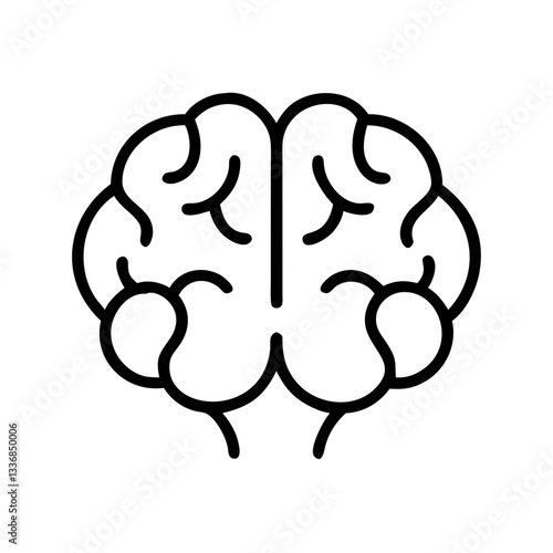 brain
