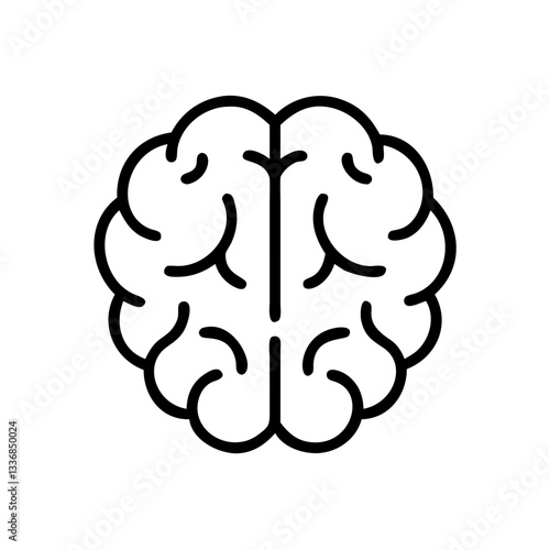 brain