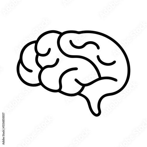 brain