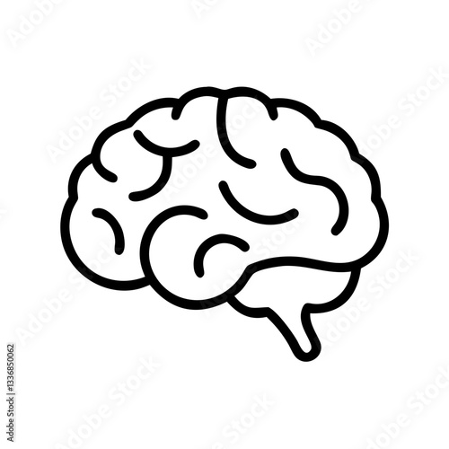 brain