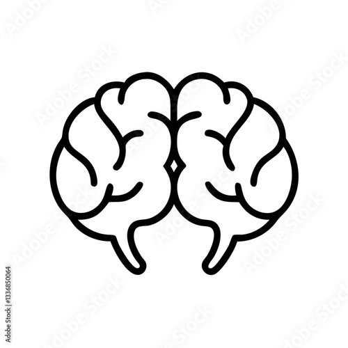 brain