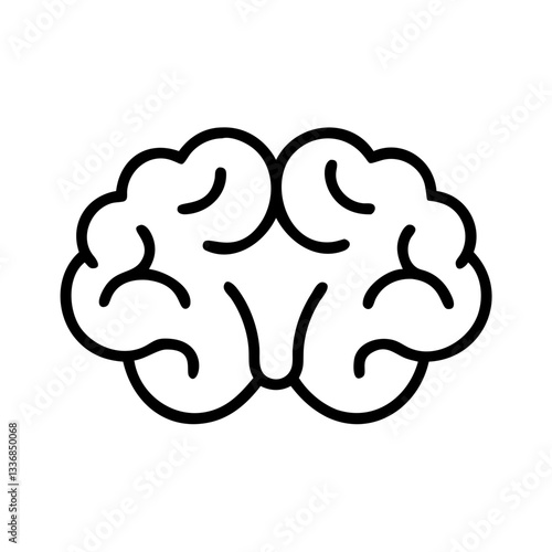 brain