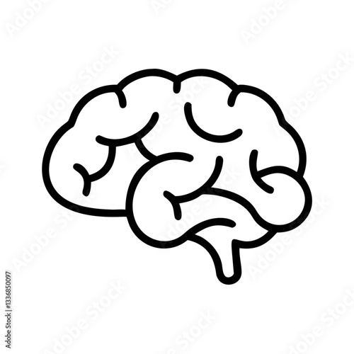 brain