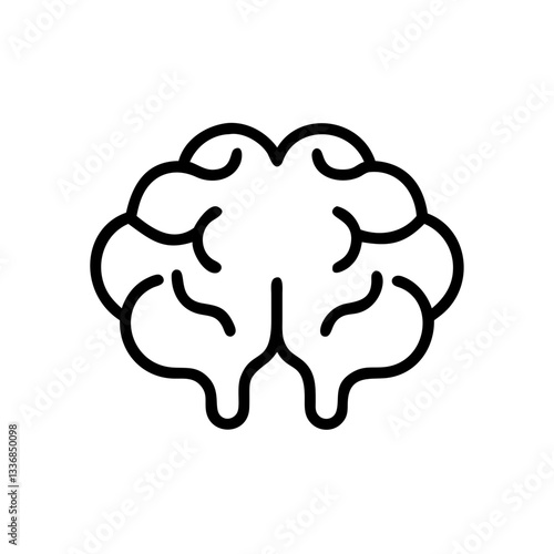 brain
