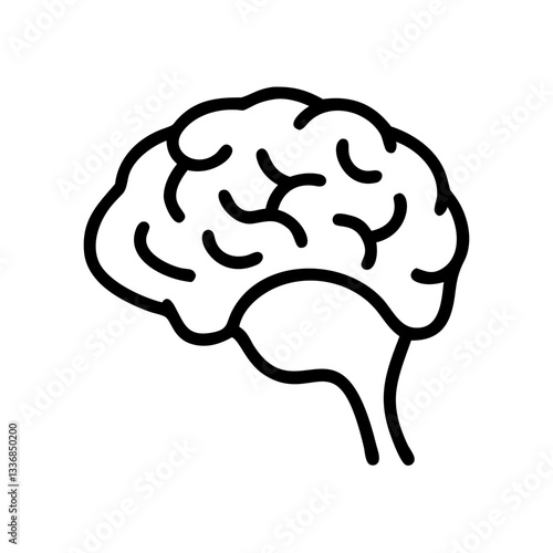 brain