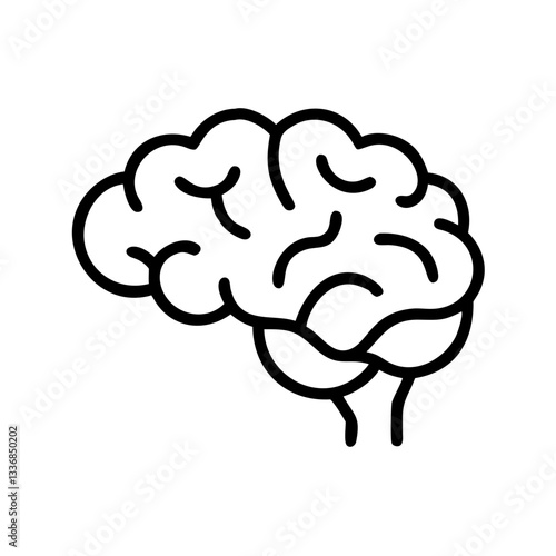 brain