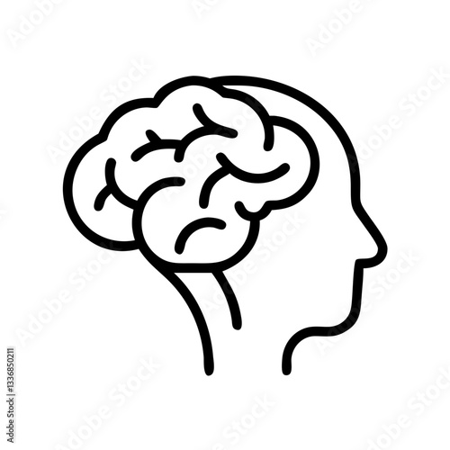 brain