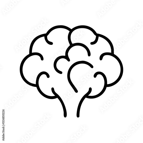 brain