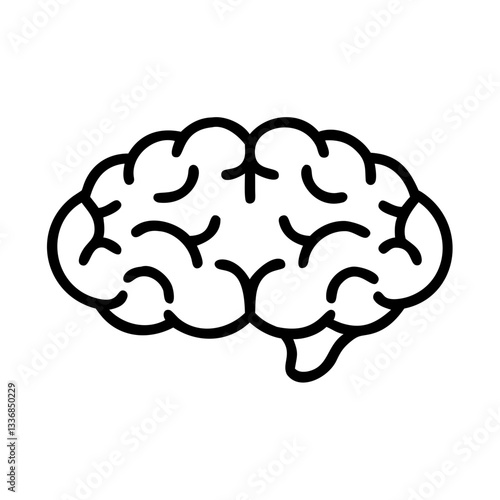 brain
