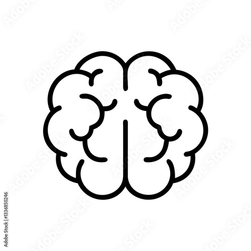 brain