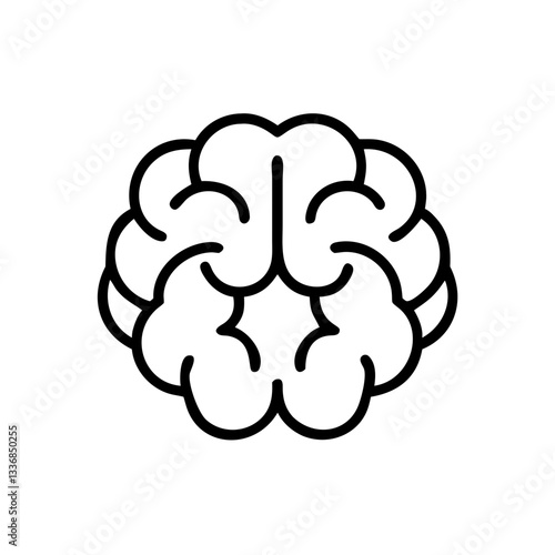 brain