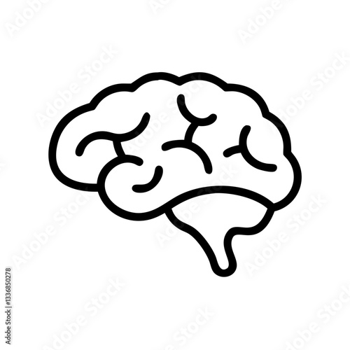 brain
