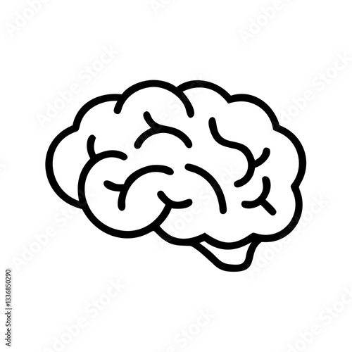 brain