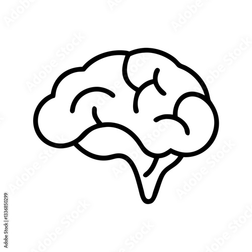 brain
