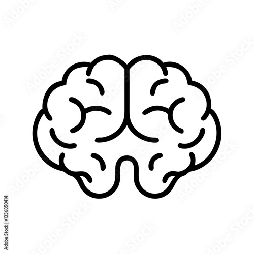 brain