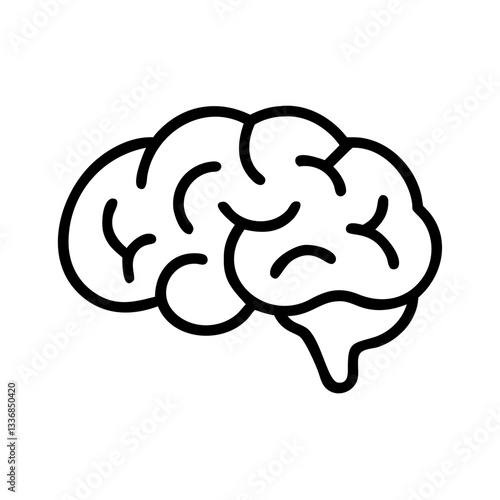 brain
