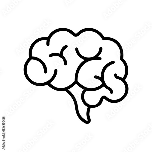 brain