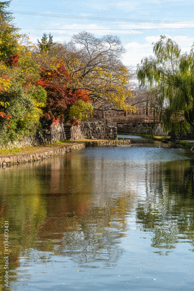 Fototapeta premium Scenic sight of Hachiman-bori canal in Omihachiman during fall season. Kansai region, Shiga Prefecture, Japan.