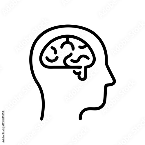 brain