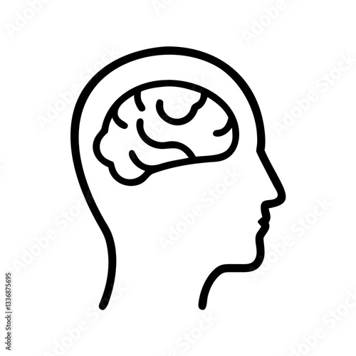 brain