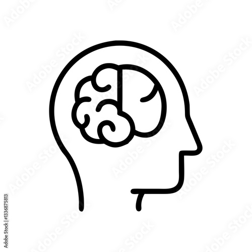 brain