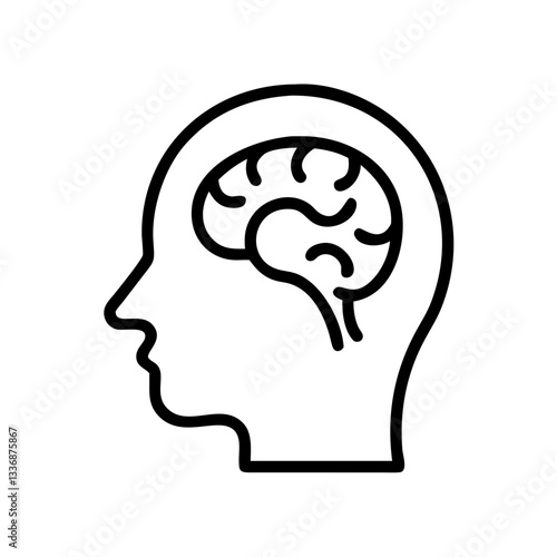 brain