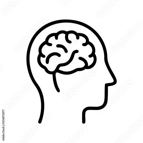 brain