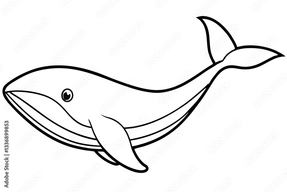 Abstract Whale Line Drawing Abstract Whale Line Drawing