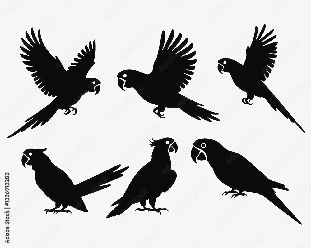 Obraz premium set of parrot birds icon in solid white background. silhouettes of birds set of birds set of silhouettes of birds