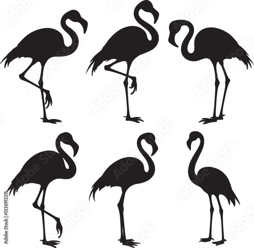 Flamingo isolated. Exotic bird. Silhouette flamingo