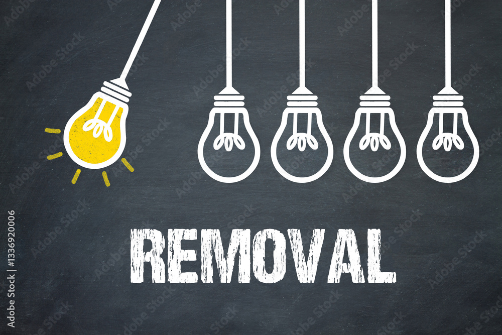 Fototapeta premium Removal