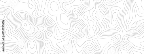 Abstract topography pattern lines sea map area space geometric strip grid line topo map technology modern design white background.