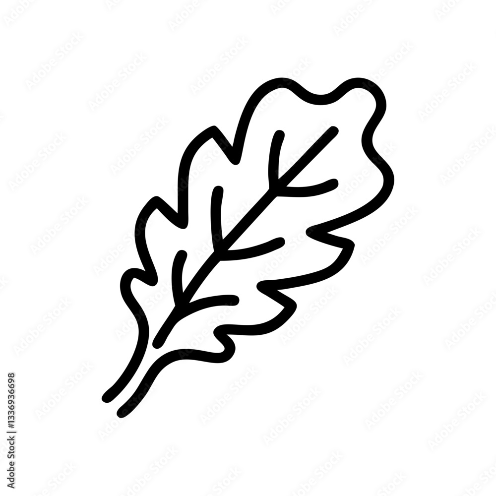 Arugula Arugula