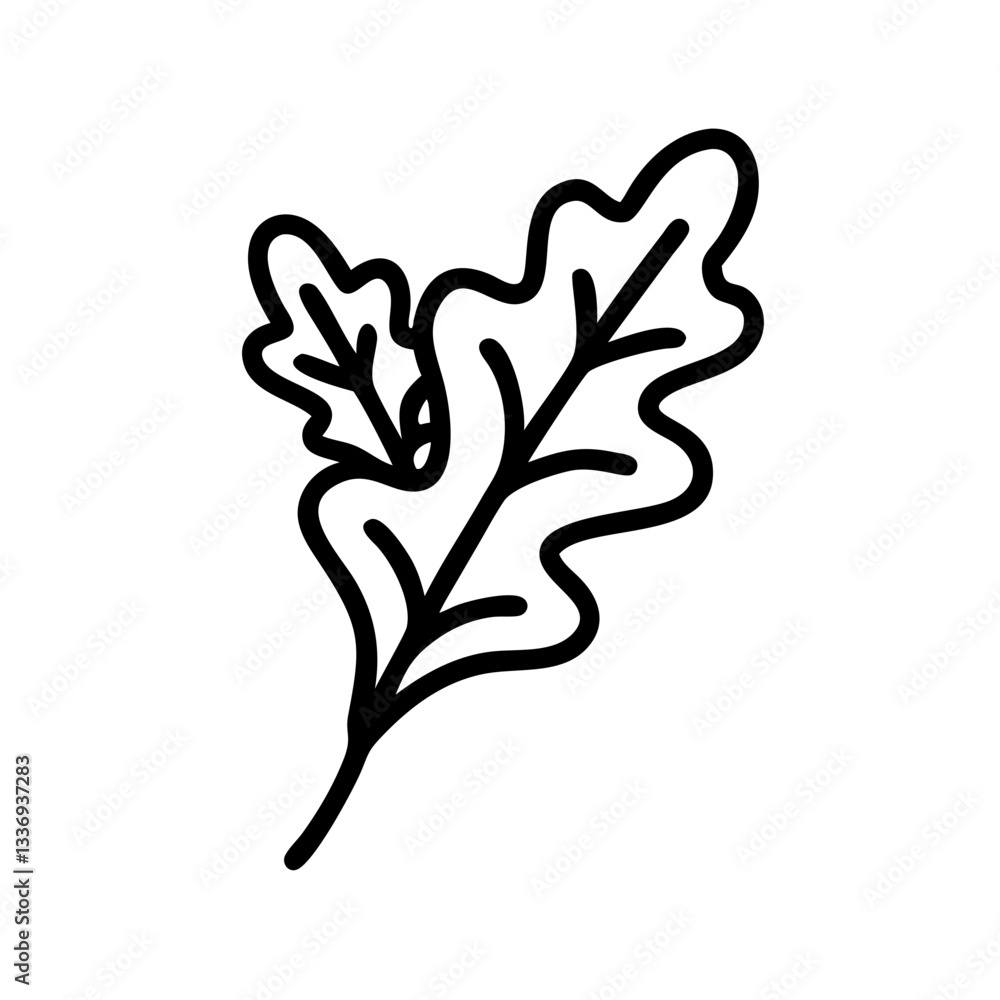 Obraz premium Arugula 