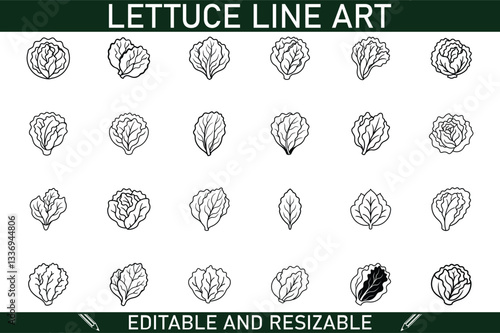 Editable Lettuce Line Art Resizable Vector Illustrations Collection