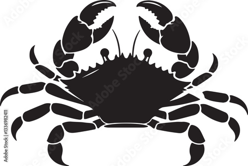 Crab on Sandy Beach - Wildlife and Nature Stock Image