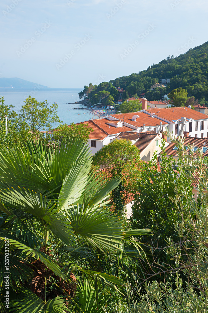 view to coastline Moscenicka Draga, palm tree in front, ocean in the background