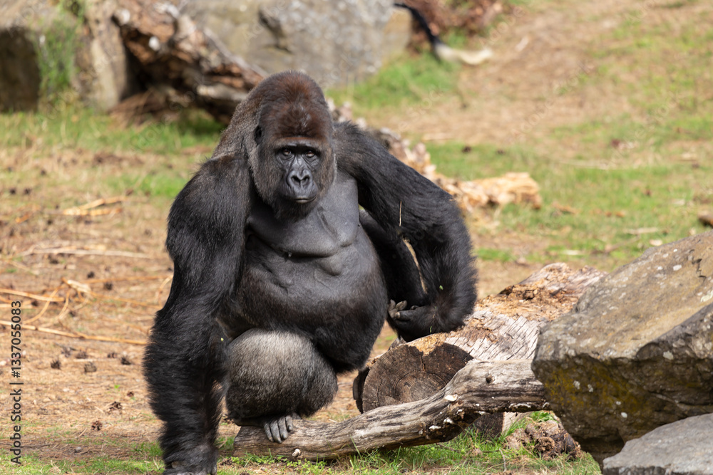 Tierpark Tierpark
